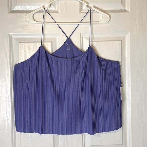 A NEW DAY Pleated Crop Tank Top, Women’s XL, Purple - Picture 1 of 7